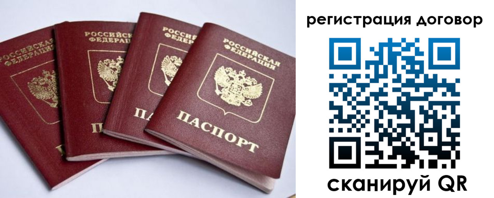 прописка поиск в Николаевске