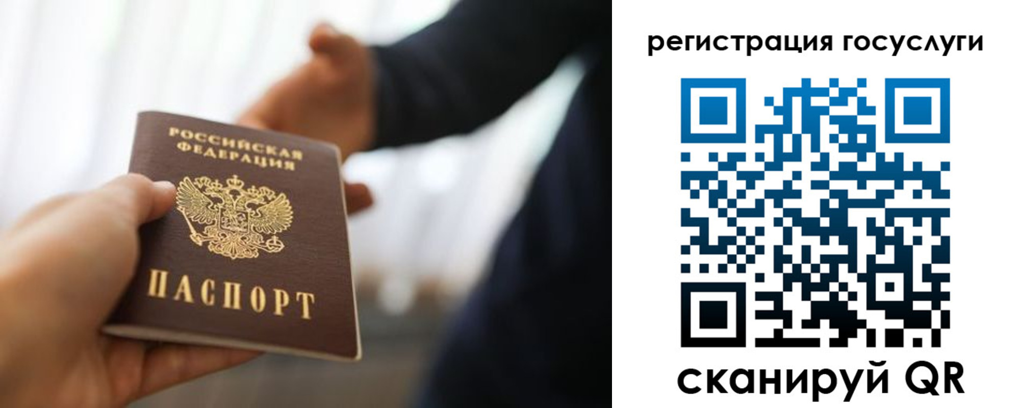 прописка в Николаевске